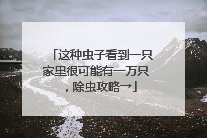 这种虫子看到一只家里很可能有一万只，除虫攻略→