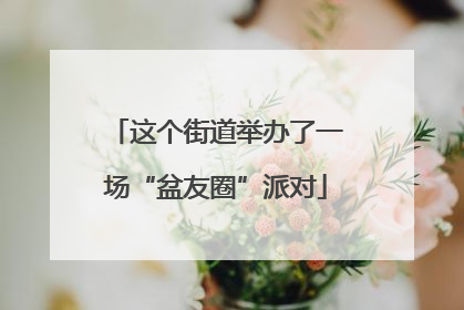 这个街道举办了一场“盆友圈”派对