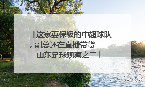 这家要保级的中超球队，副总还在直播带货——山东足球观察之二