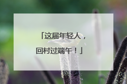 这届年轻人，回村过端午！