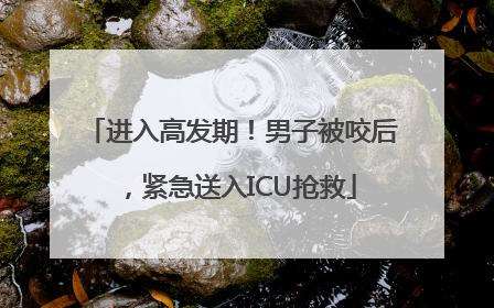 进入高发期！男子被咬后，紧急送入ICU抢救