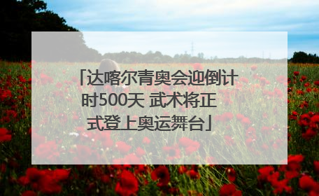 达喀尔青奥会迎倒计时500天 武术将正式登上奥运舞台