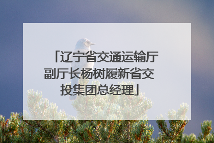 辽宁省交通运输厅副厅长杨树履新省交投集团总经理