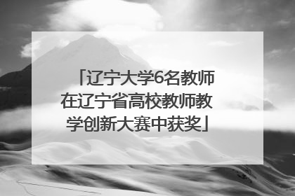 辽宁大学6名教师在辽宁省高校教师教学创新大赛中获奖