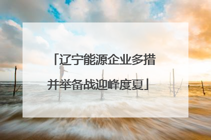 辽宁能源企业多措并举备战迎峰度夏