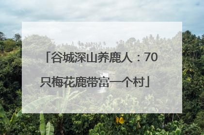 谷城深山养鹿人：70只梅花鹿带富一个村