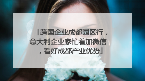 跨国企业成都园区行，意大利企业家忙着加微信，看好成都产业优势