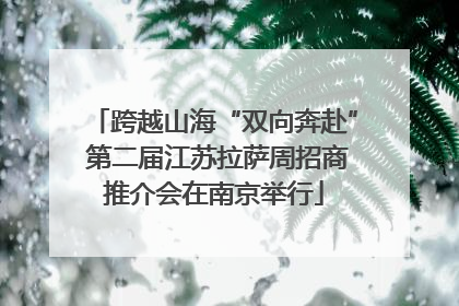 跨越山海“双向奔赴” 第二届江苏拉萨周招商推介会在南京举行