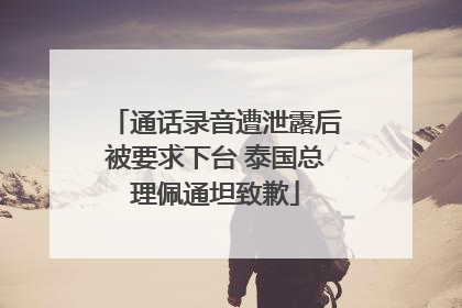 通话录音遭泄露后被要求下台 泰国总理佩通坦致歉