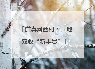 道真河西村：一地双收“新丰景”