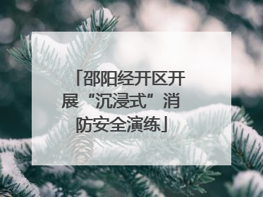邵阳经开区开展“沉浸式”消防安全演练