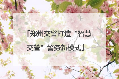 郑州交警打造“智慧交管”警务新模式