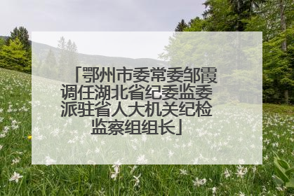 鄂州市委常委邹霞调任湖北省纪委监委派驻省人大机关纪检监察组组长