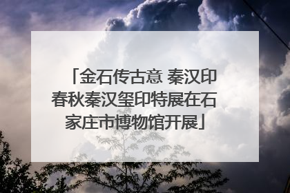 金石传古意 秦汉印春秋秦汉玺印特展在石家庄市博物馆开展