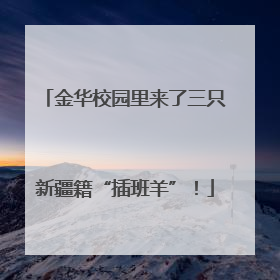 金华校园里来了三只新疆籍“插班羊”！