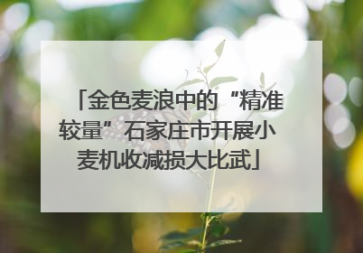 金色麦浪中的“精准较量”石家庄市开展小麦机收减损大比武