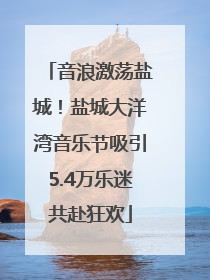 音浪激荡盐城！盐城大洋湾音乐节吸引5.4万乐迷共赴狂欢