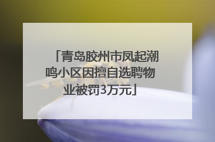 青岛胶州市凤起潮鸣小区因擅自选聘物业被罚3万元