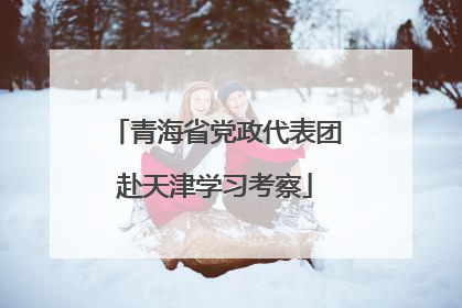 青海省党政代表团赴天津学习考察