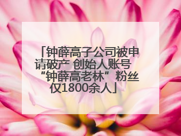 钟薛高子公司被申请破产 创始人账号“钟薛高老林”粉丝仅1800余人