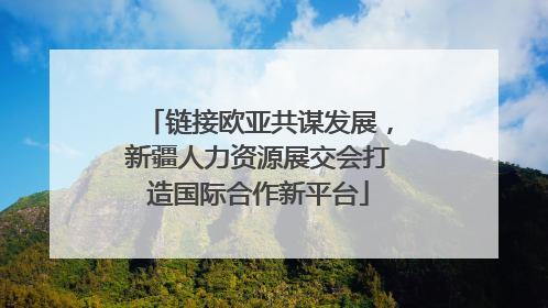 链接欧亚共谋发展，新疆人力资源展交会打造国际合作新平台