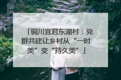 铜川宜君东湖村：党群共建让乡村从“一时美”变“持久美”