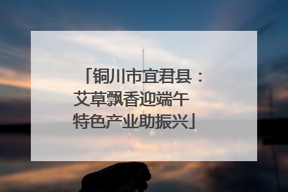 铜川市宜君县：艾草飘香迎端午 特色产业助振兴