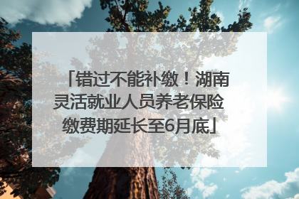 错过不能补缴！湖南灵活就业人员养老保险缴费期延长至6月底