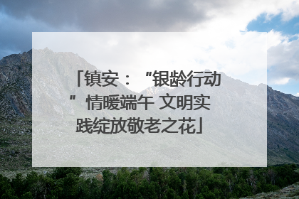 镇安：“银龄行动”情暖端午 文明实践绽放敬老之花