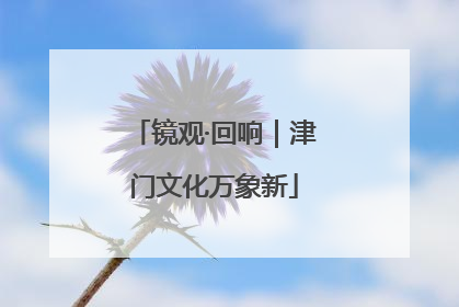 镜观·回响｜津门文化万象新