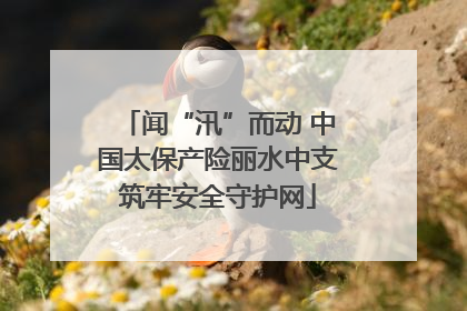 闻“汛”而动 中国太保产险丽水中支筑牢安全守护网
