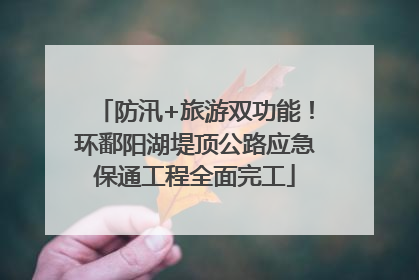 防汛+旅游双功能！环鄱阳湖堤顶公路应急保通工程全面完工