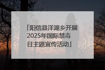 阳信县洋湖乡开展2025年国际禁毒日主题宣传活动