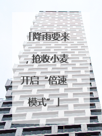 降雨要来，抢收小麦开启“倍速模式”