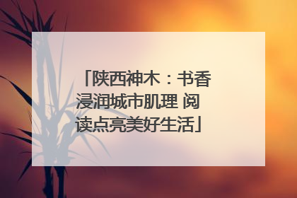 陕西神木：书香浸润城市肌理 阅读点亮美好生活