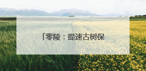零陵：提速古树保护 留住绿色记忆