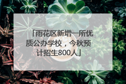 雨花区新增一所优质公办学校，今秋预计招生800人