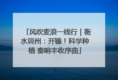 风吹麦浪一线行｜衡水冀州：开镰！科学种植 奏响丰收序曲