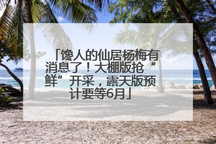 馋人的仙居杨梅有消息了！大棚版抢“鲜”开采，露天版预计要等6月