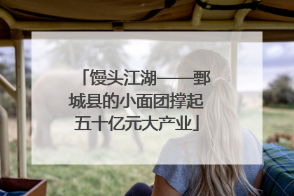 馒头江湖——鄄城县的小面团撑起五十亿元大产业