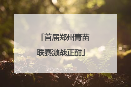 首届郑州青苗联赛激战正酣