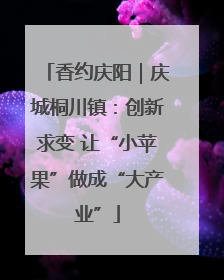 香约庆阳｜庆城桐川镇：创新求变 让“小苹果”做成“大产业”