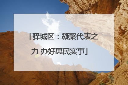 驿城区：凝聚代表之力 办好惠民实事