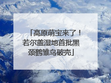 高原萌宝来了！若尔盖湿地首批黑颈鹤雏鸟破壳