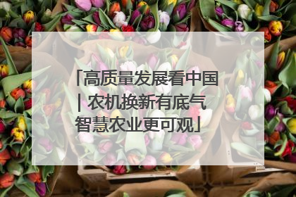高质量发展看中国｜农机换新有底气 智慧农业更可观