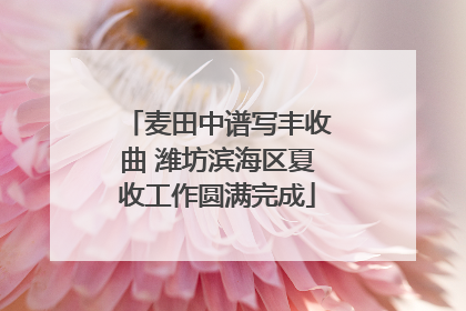 麦田中谱写丰收曲 潍坊滨海区夏收工作圆满完成