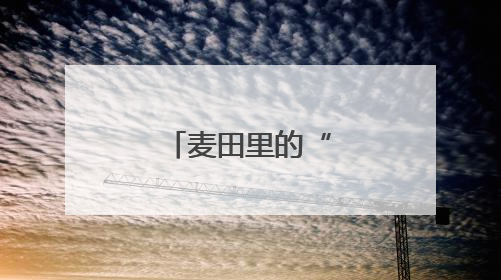 麦田里的“科技范儿”