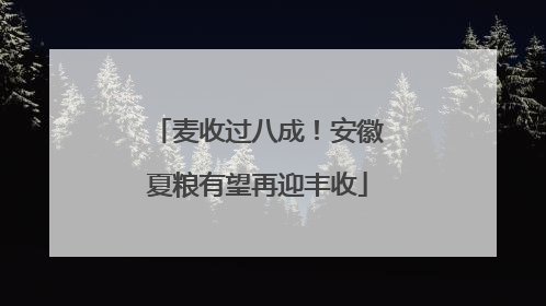 麦收过八成！安徽夏粮有望再迎丰收