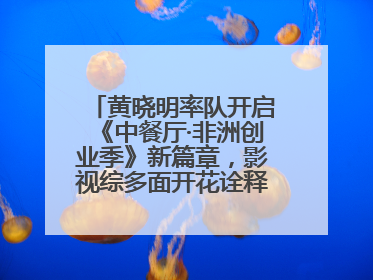 黄晓明率队开启《中餐厅·非洲创业季》新篇章，影视综多面开花诠释全能担当