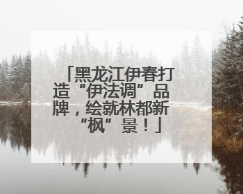 黑龙江伊春打造“伊法调”品牌，绘就林都新“枫”景！